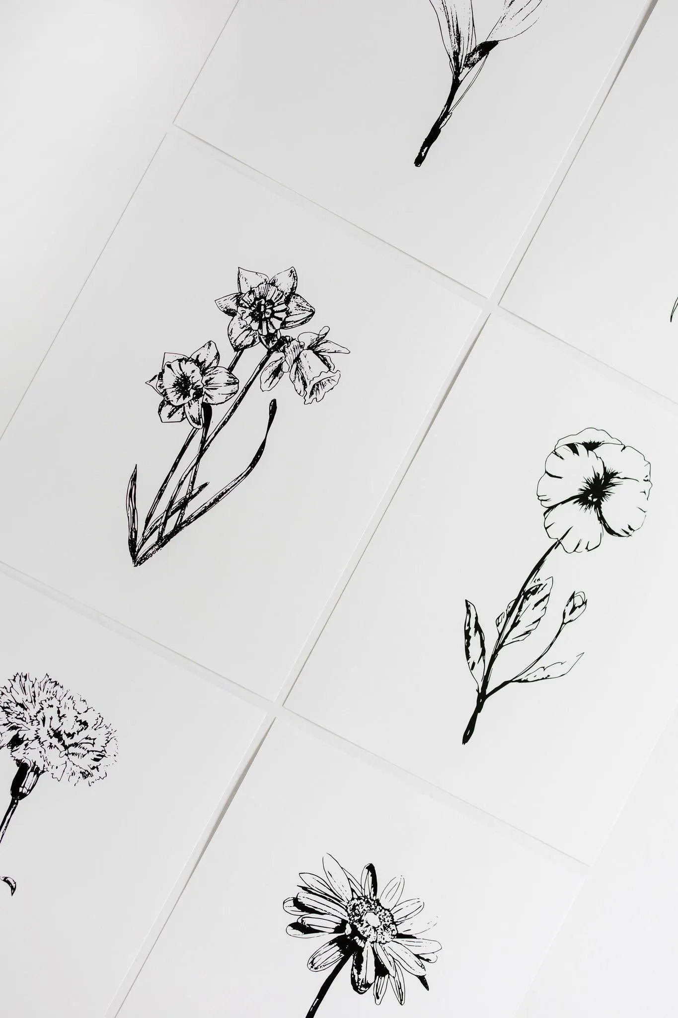 Black & White Flower Prints | Set of 12