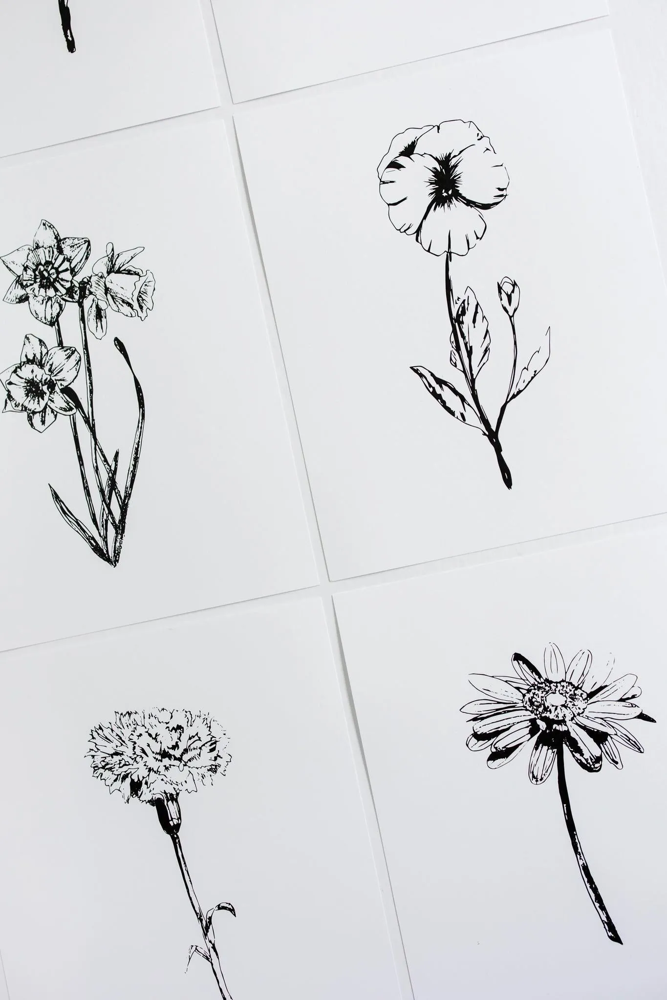 Black & White Flower Prints | Set of 12