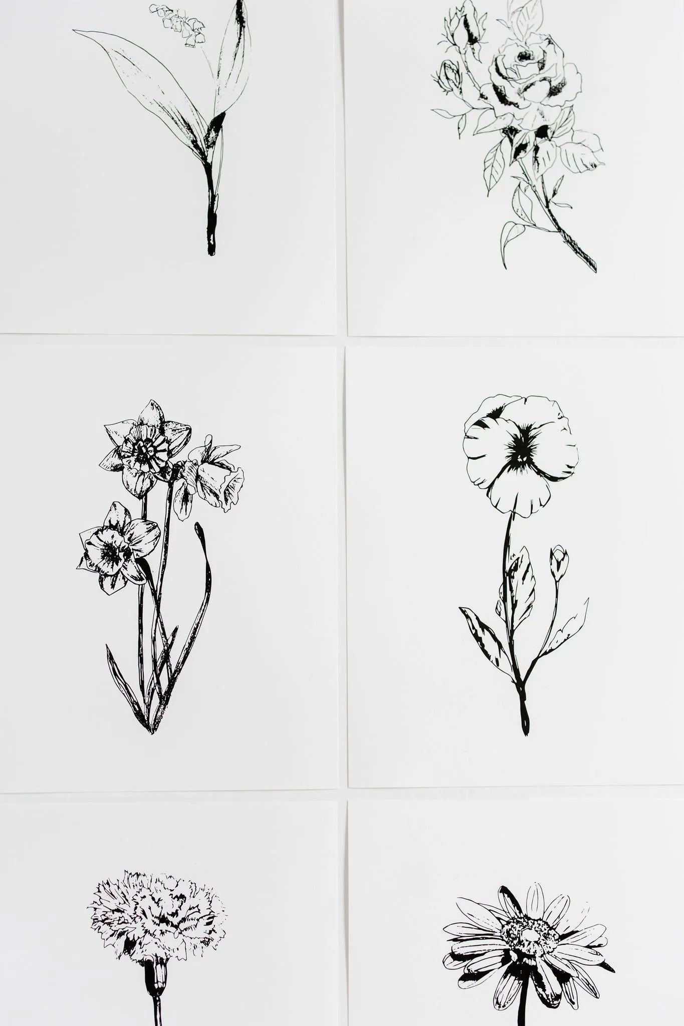 Black & White Flower Prints | Set of 12