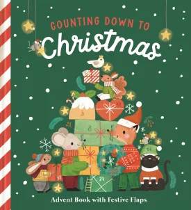 Book -  Counting Down To Christmas: Advent Book