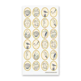 Coastal Seals Sticker Sheet