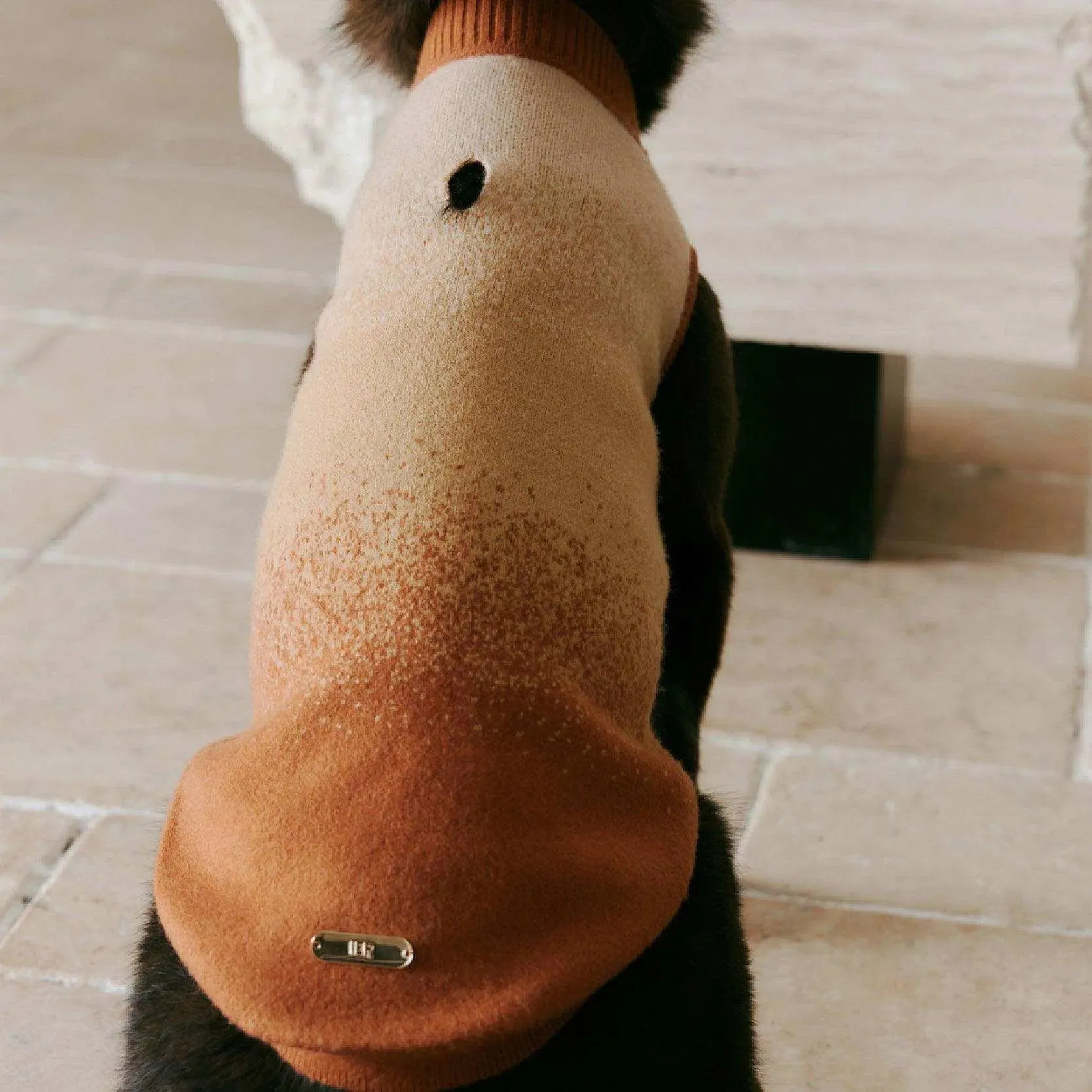 Gradient Knitted Dog Sweater