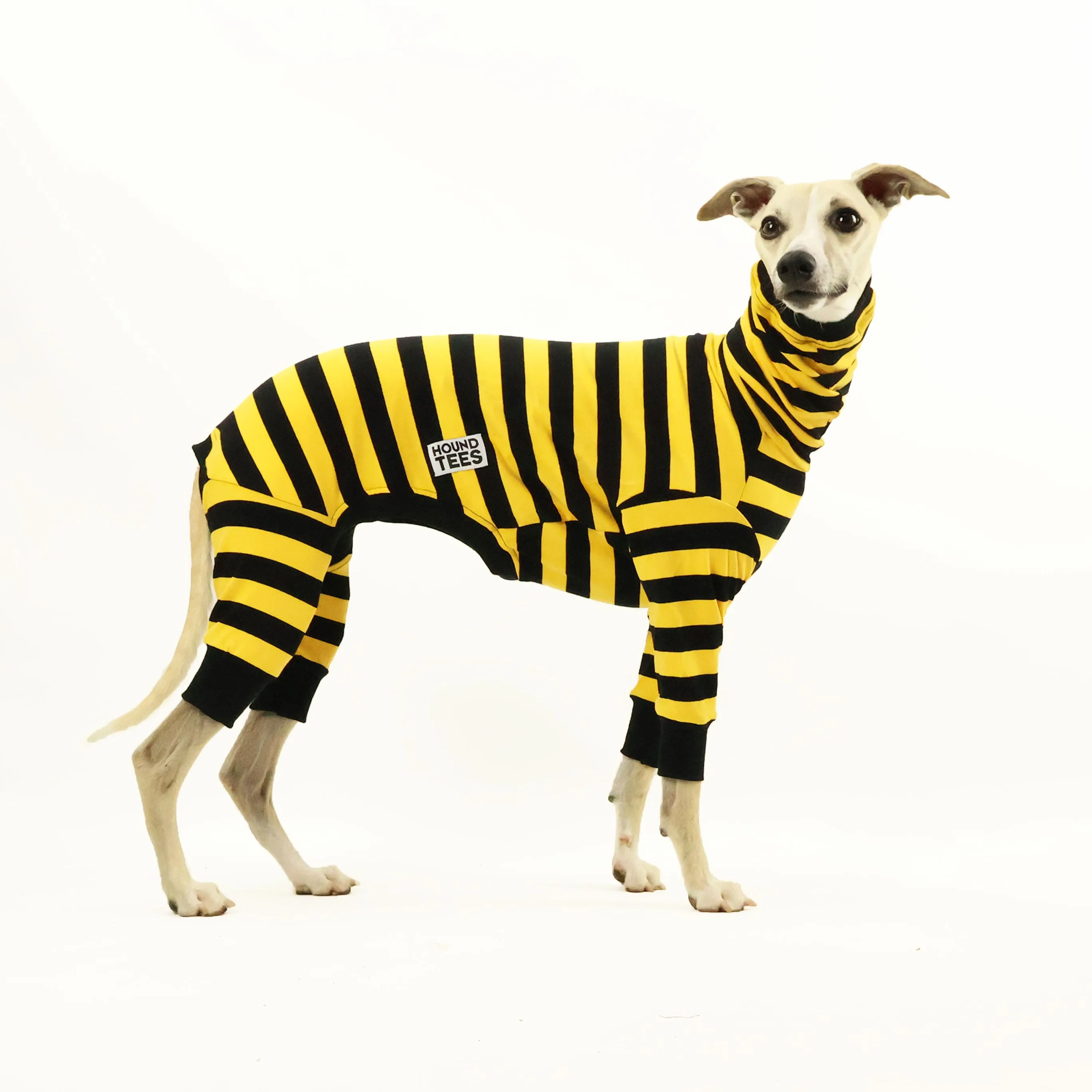 Odlaw Whippet Long Johns