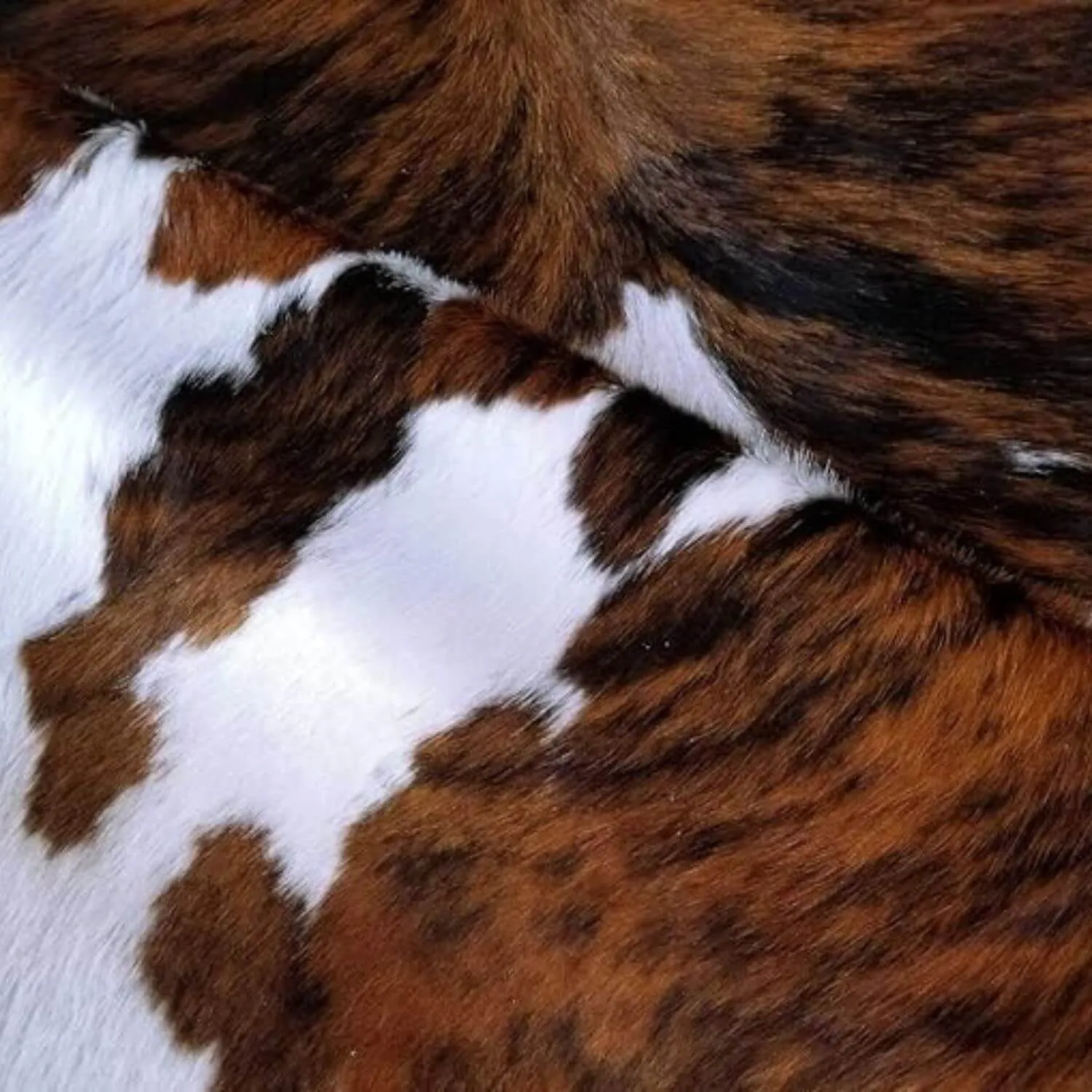 The Frontier Hide - Luxury Brazilian Cowhide Rug