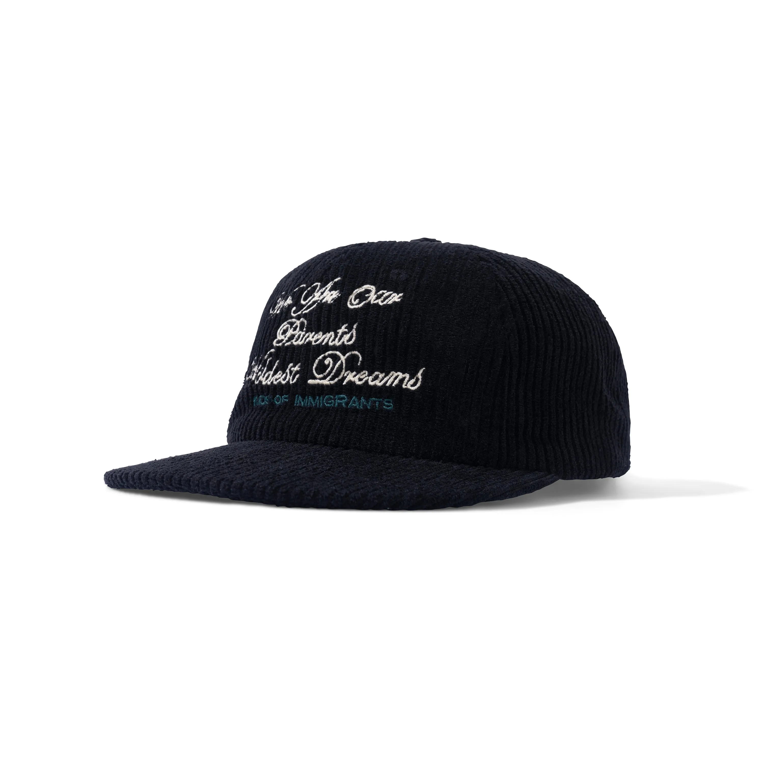 WILDEST DREAMS HAT