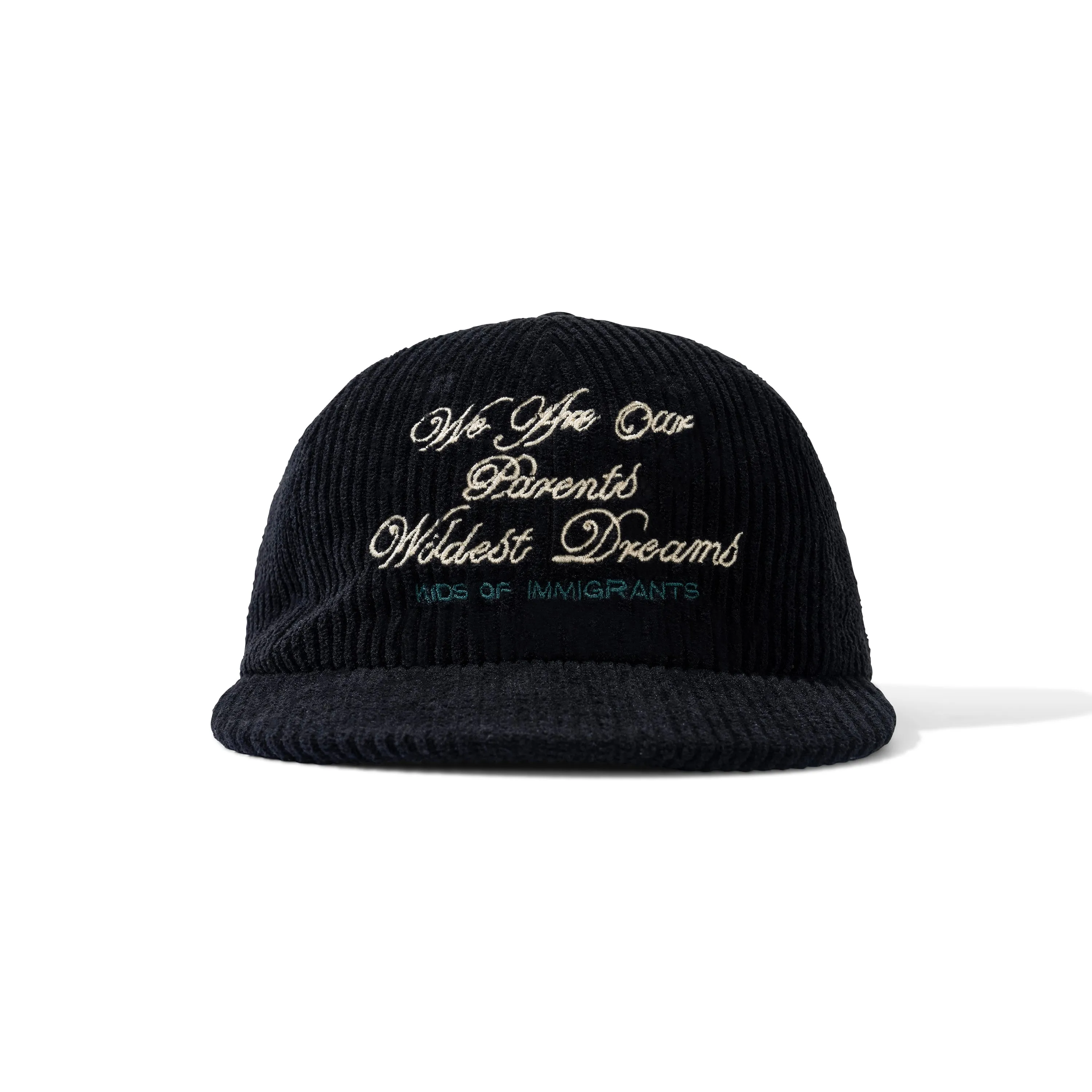 WILDEST DREAMS HAT